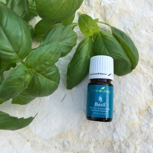 Basil essential oil Recipes and Uses young living