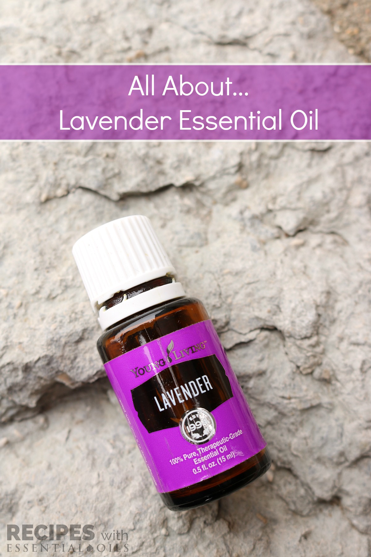 Getting to Know Your Oils Lavender Essential Oil Recipes with