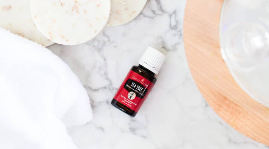 All about Tea Tree Essential Oil including tips, recipes and more from RecipeswithEssentialOils.com