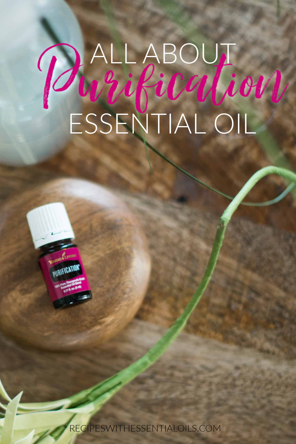 purification essential oil blend young living