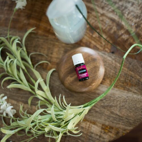 purification essential oil blend recipes
