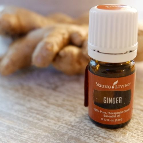ginger essential oil ginger root