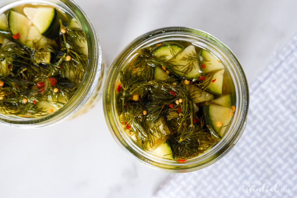 homemade dill pickle recipe
