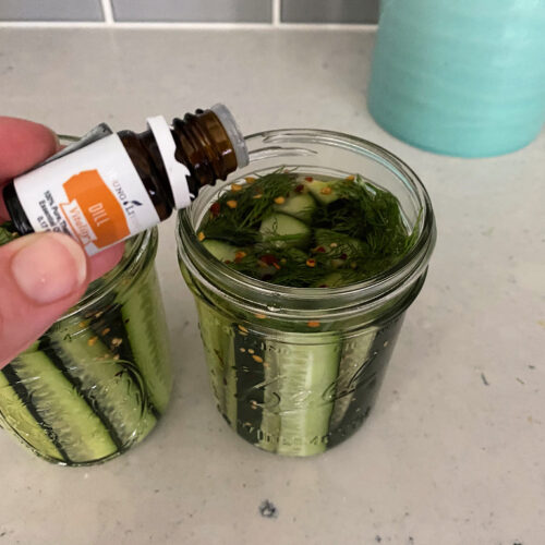 Homemade Dill Pickles Recipes with Essential Oils