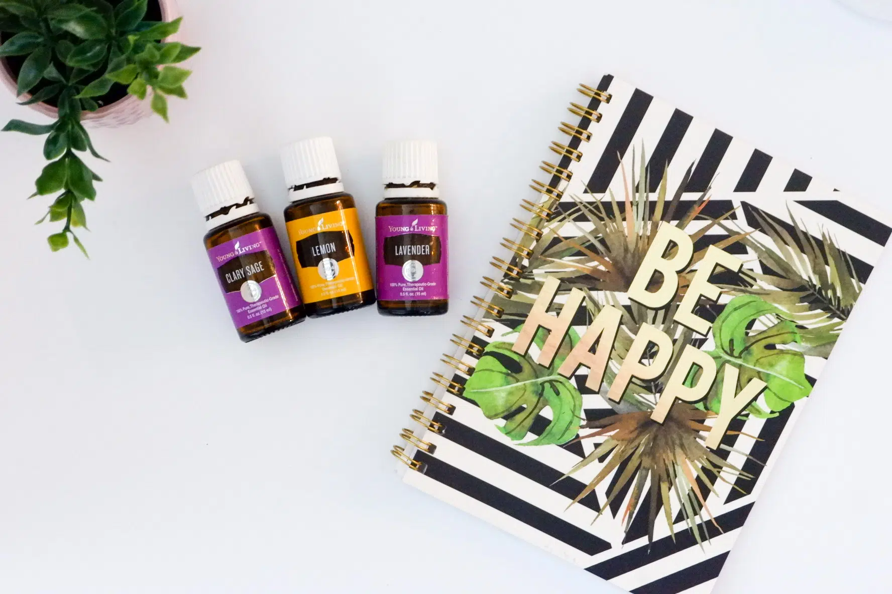 Be Happy Diffuser Blend Recipes Young Living