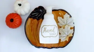 Homemade Pumpkin Spice Hand Soap